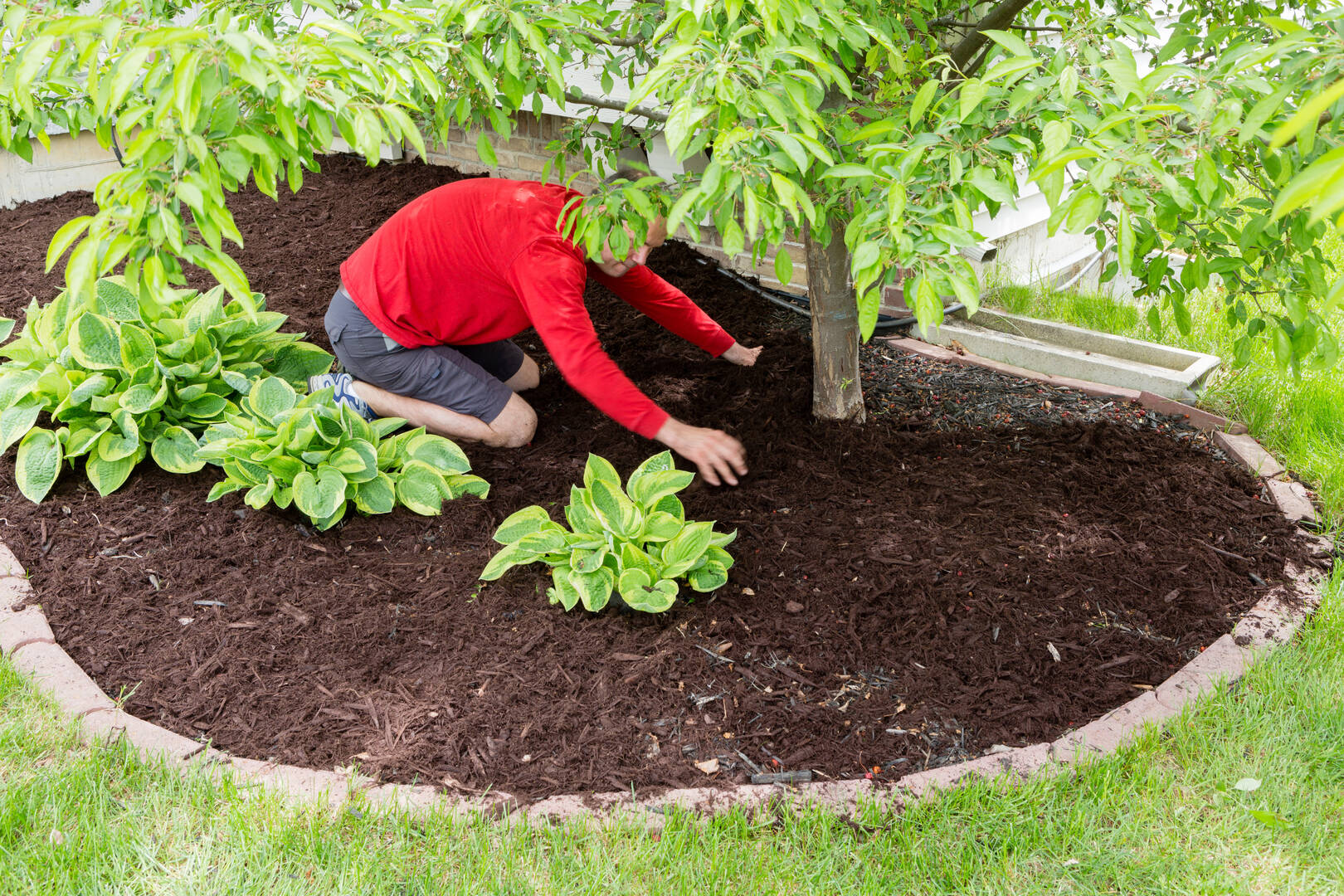 Stephenson Tree Care Inc.