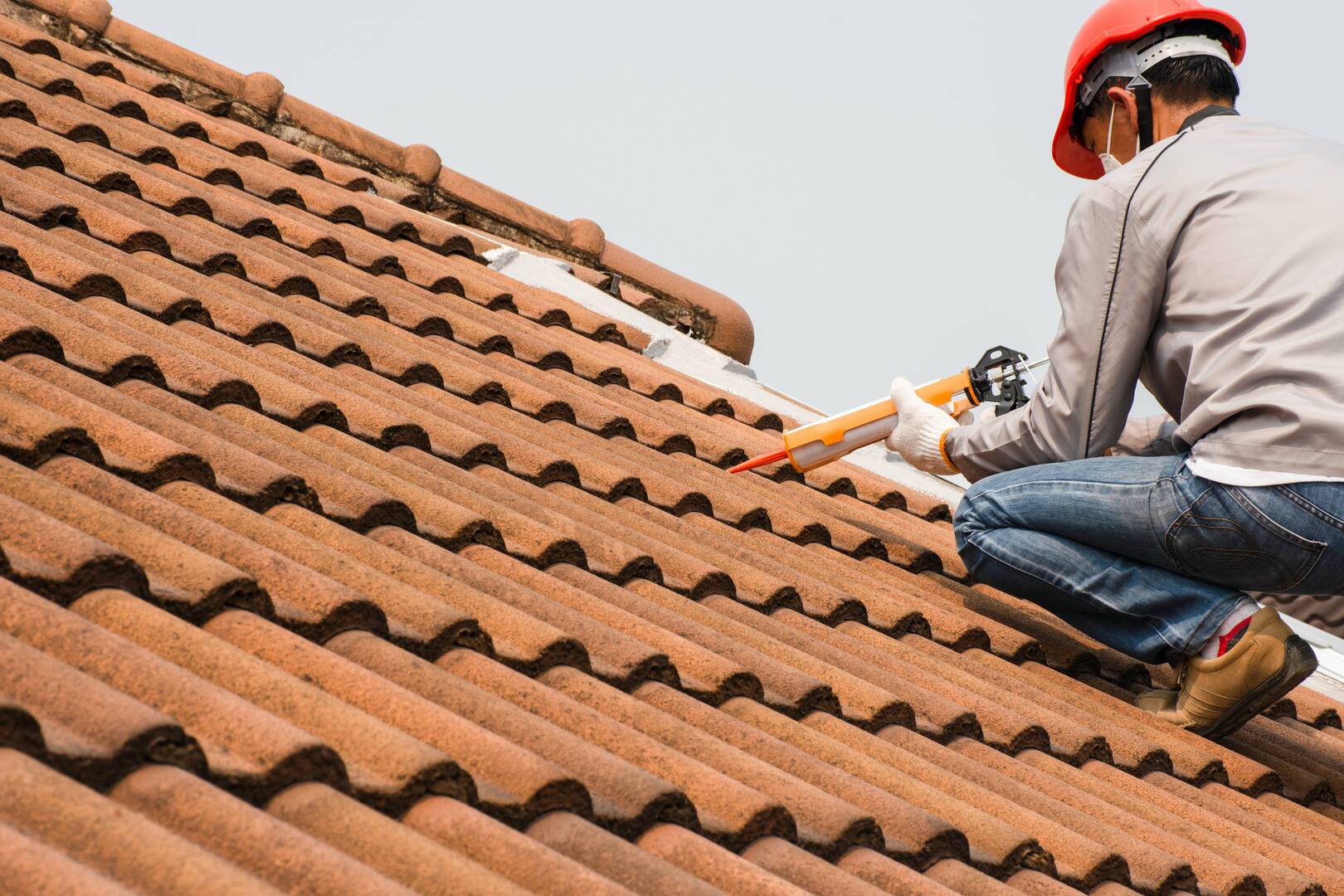 Roof Evolution