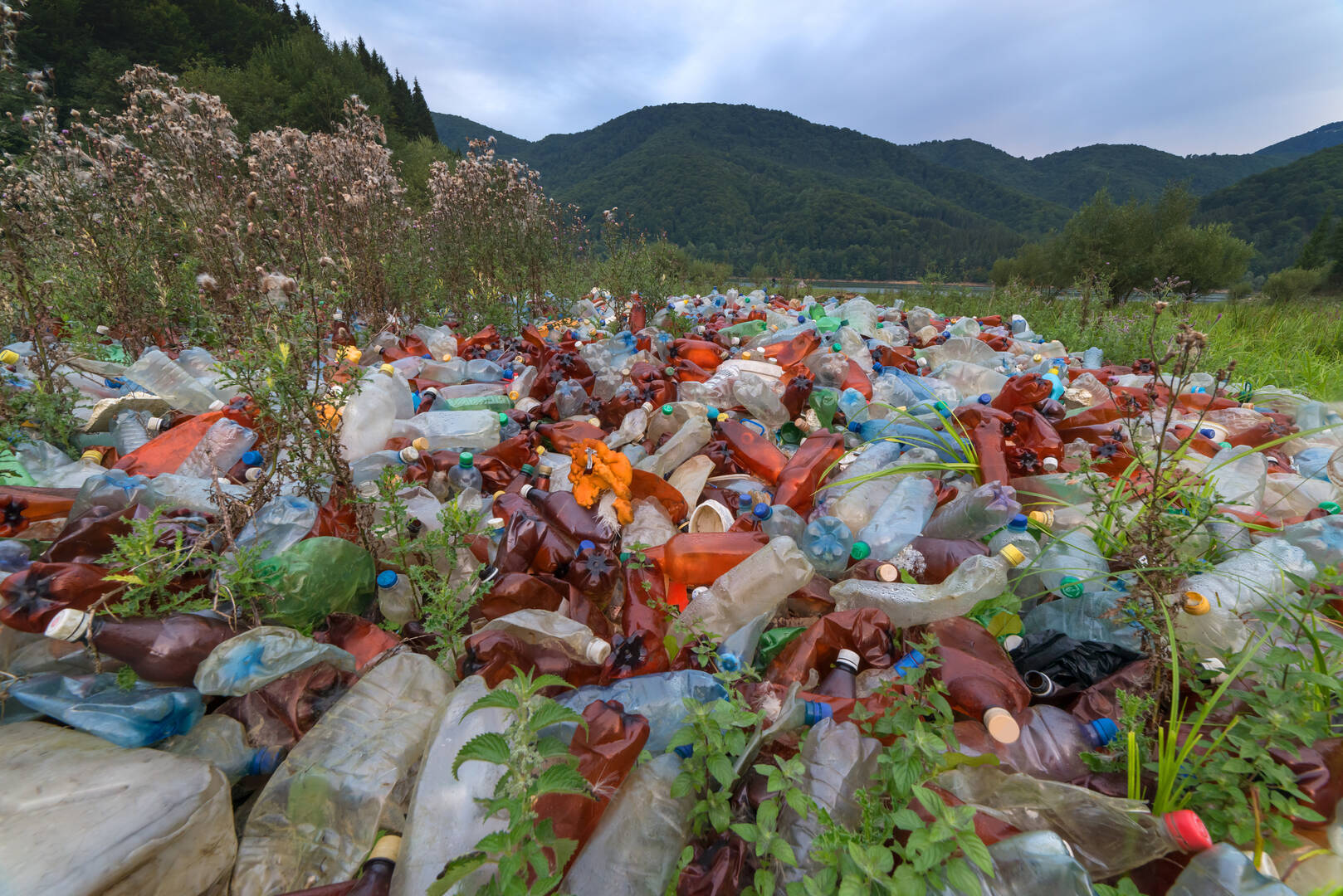 Didion Orf Recycling Inc